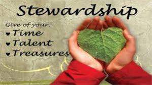 Stewardship Drive